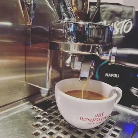 Гостевой дом Das-hornsteiner 4*